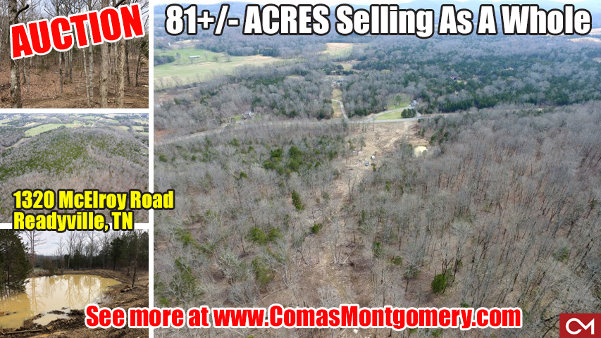 McElroy, Road, Readyville, Tennessee, Acres, Land, For Sale, Auction, Rutherford, County, Comas, Montgomery
