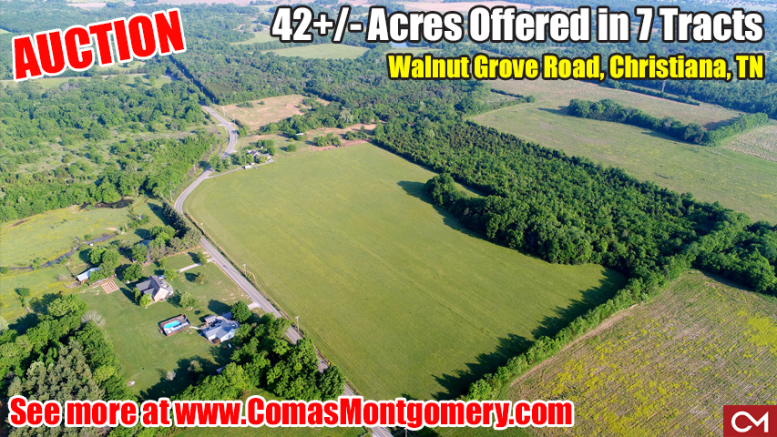 Land, For Sale, Tracts, Acres, Christiana, Tennessee, Auction, Real Estate, Investment, Build, New, Home, House, Houses, Homes, Development, Farm, Farmland, Murfreesboro, Rutherford, Walnut, Grove, Soil Site, Utilities