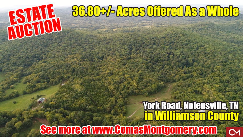 land, for sale, williamson, county, nolensville, tennessee, york, road, comas, montgomery, estate, auction, build, develop, invest, farm, acres